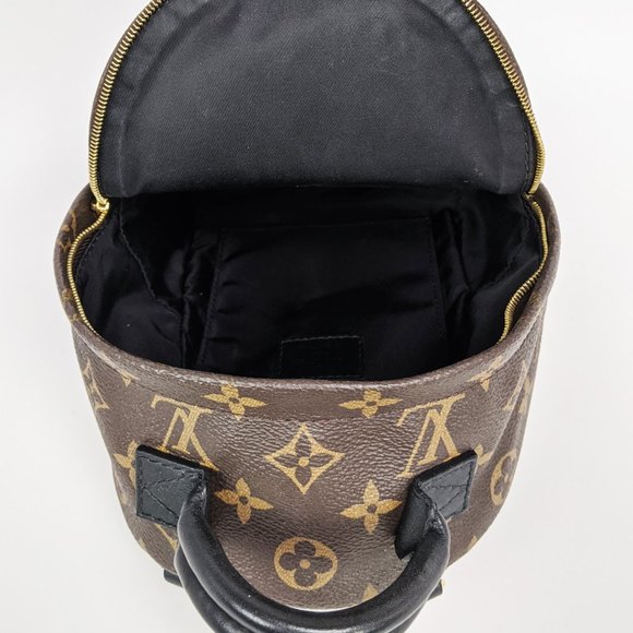SOLD Louis Vuitton Palm Springs Mini Backpack - Picture 5 of 9